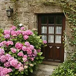Logis Yseria - Historical Center ホテル アグド