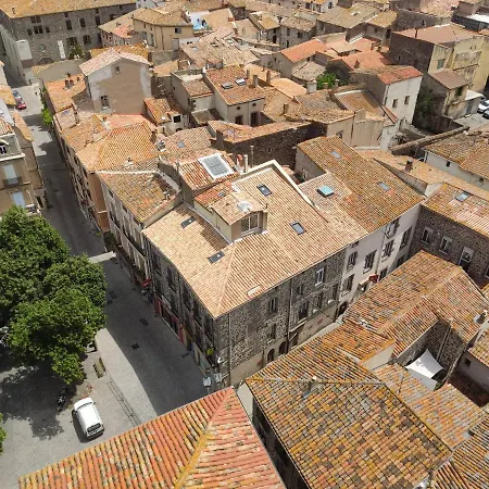 Logis Yseria - Historical Center 3* Агд